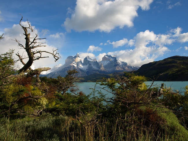 ../../Pictures/240110/023 Torres del Paine.JPG